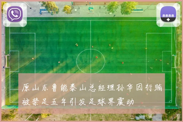 原山东鲁能泰山总经理孙华因行贿被禁足五年引发足球界震动