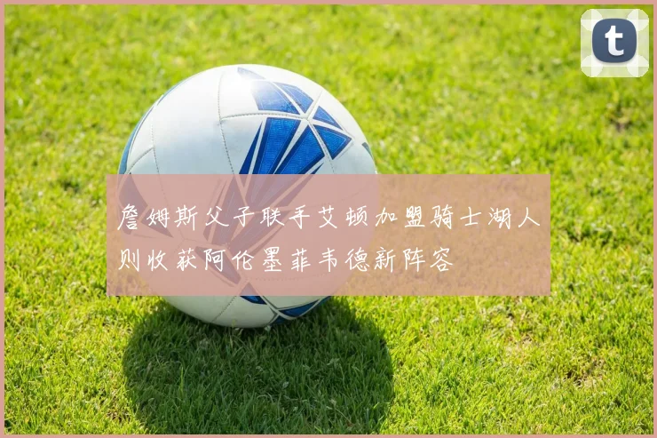 詹姆斯父子联手艾顿加盟骑士湖人则收获阿伦墨菲韦德新阵容